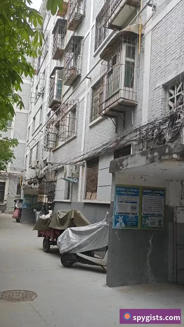 赛事专题整合