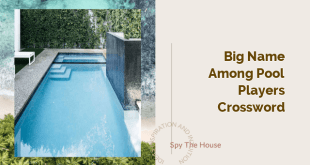 big name among pool players crossword