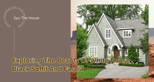 Exploring the Beauty of White House Black Soffit and Fascia