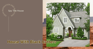 house with black gutters