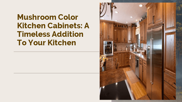 Mushroom Color Kitchen Cabinets: A Timeless Addition to Your Kitchen