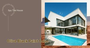 olive black paint color