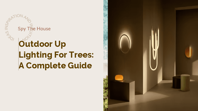 Outdoor Up Lighting for Trees: A Complete Guide