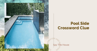 pool side crossword clue