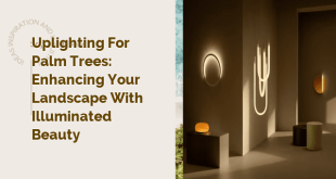 Uplighting for Palm Trees: Enhancing Your Landscape with Illuminated Beauty