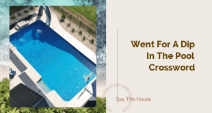Went for a Dip in the Pool Crossword